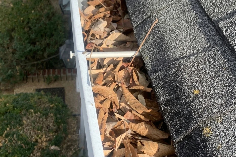 Gutter Cleaning Hallandale Beach FL