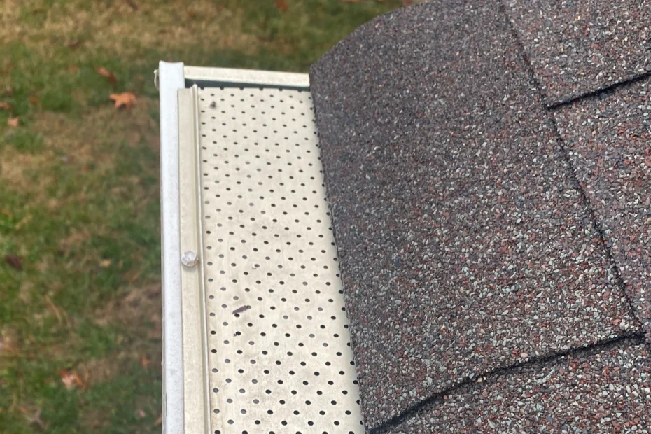 Gutter Cleaning Hallandale Beach FL