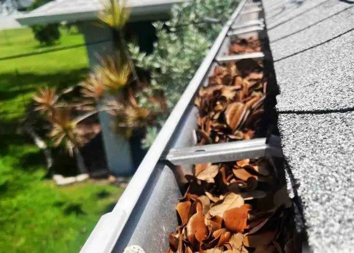 Gutter Cleaning Hallandale Beach FL home page